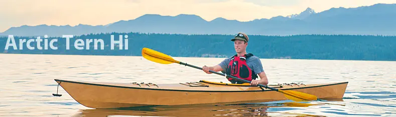 Pygmy Arctic Tern HI kayak