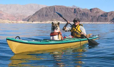 Seda Amigo kayak