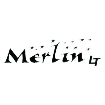 Eddyline Merlin LT kayak