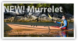 Pygmy Murrelet kayak